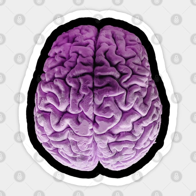 The Purple Brain Sticker by Bugsponge